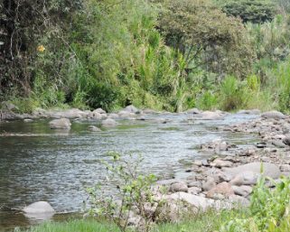 Bomberos de Calarcá rescataron a tres personas en el rio Quindío