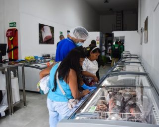 En Armenia autoridades incautan 130 kilos de pescado en mal estado durante Semana Santa