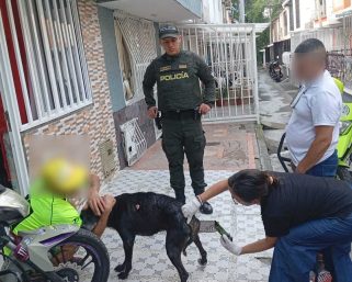Autoridades sancionan a ciudadano en Armenia por tenencia irresponsable de un canino geriátrico